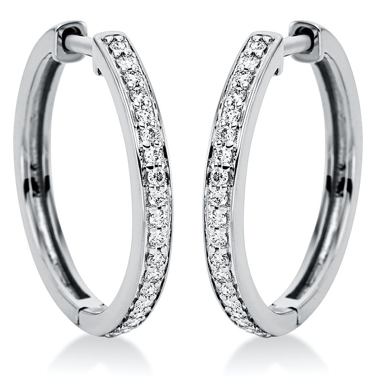 Creolen 18 kt WG
