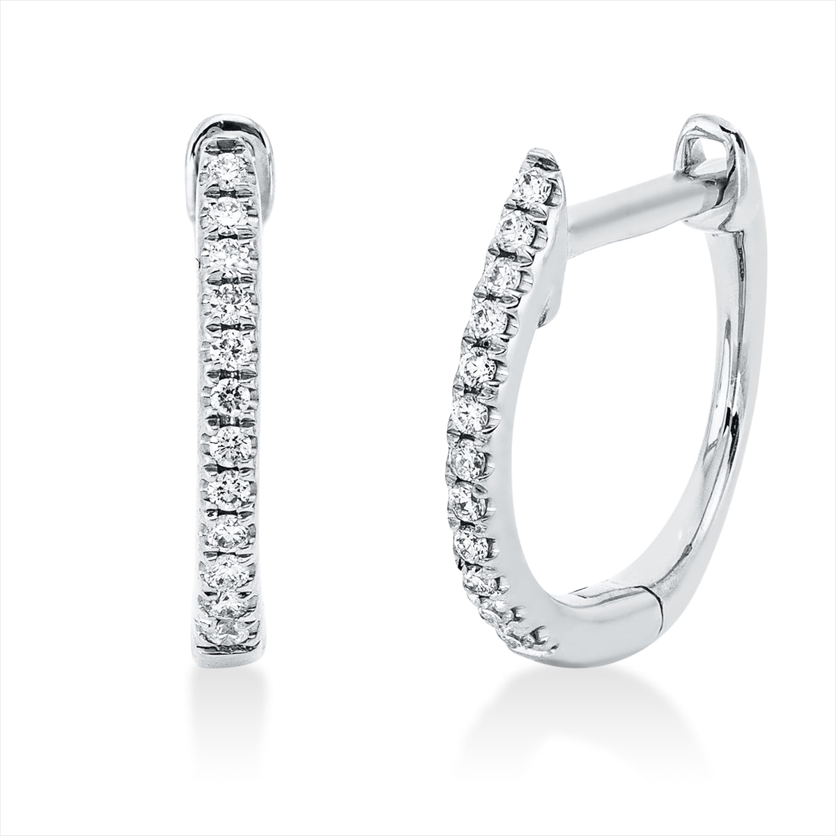 Creolen 18 kt WG